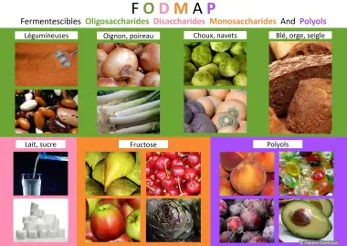 aliments FODMAP naturopathe