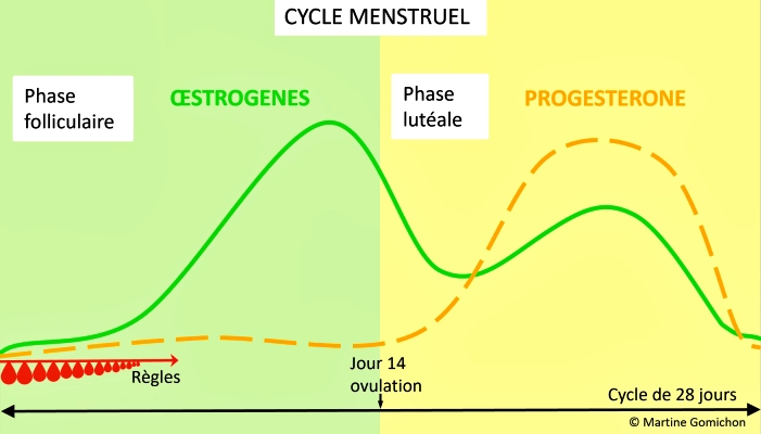 syndrome prémenstruel hormones